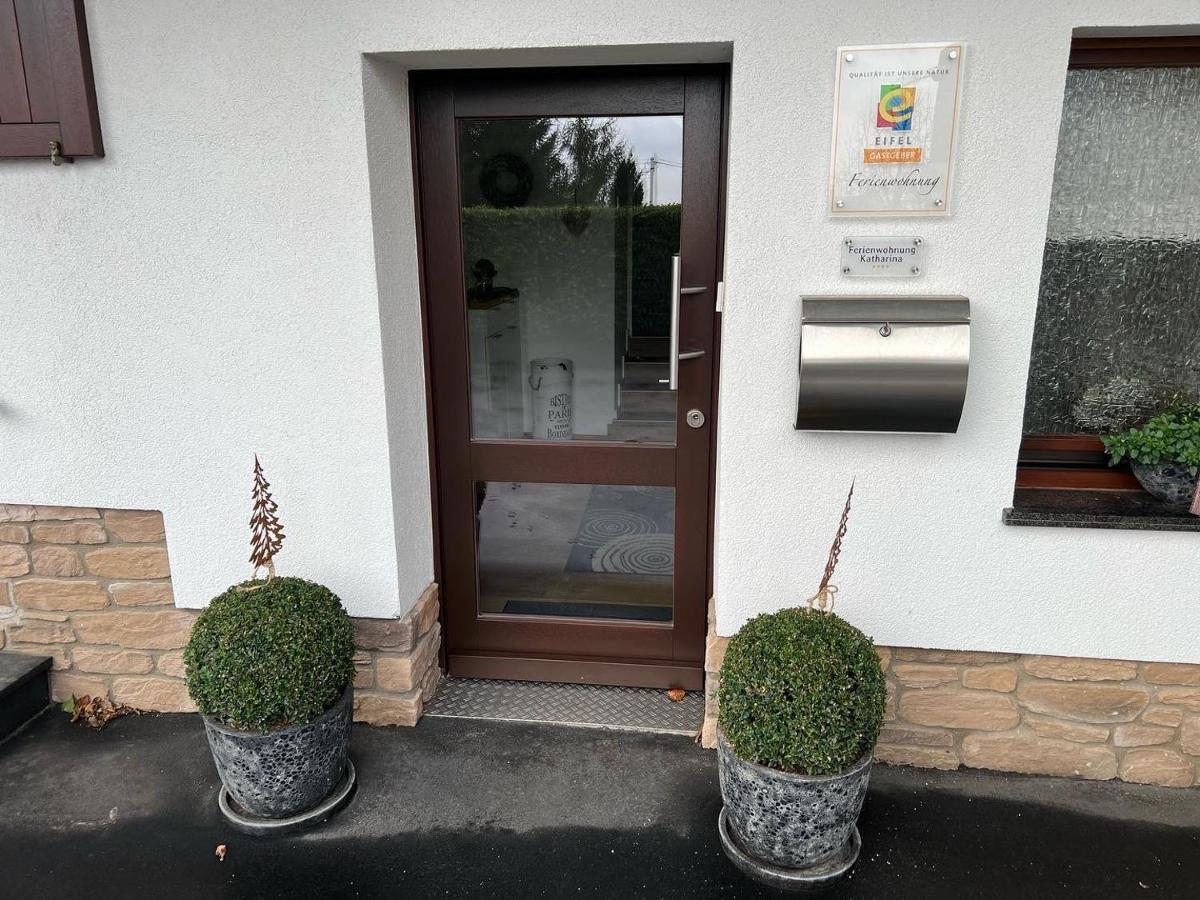Ferienwohnung Katharina 4 Sterne Laut Dtv Wallbox 11Kw Nideggen Exteriér fotografie